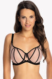  Soft model 173291 Gaia 